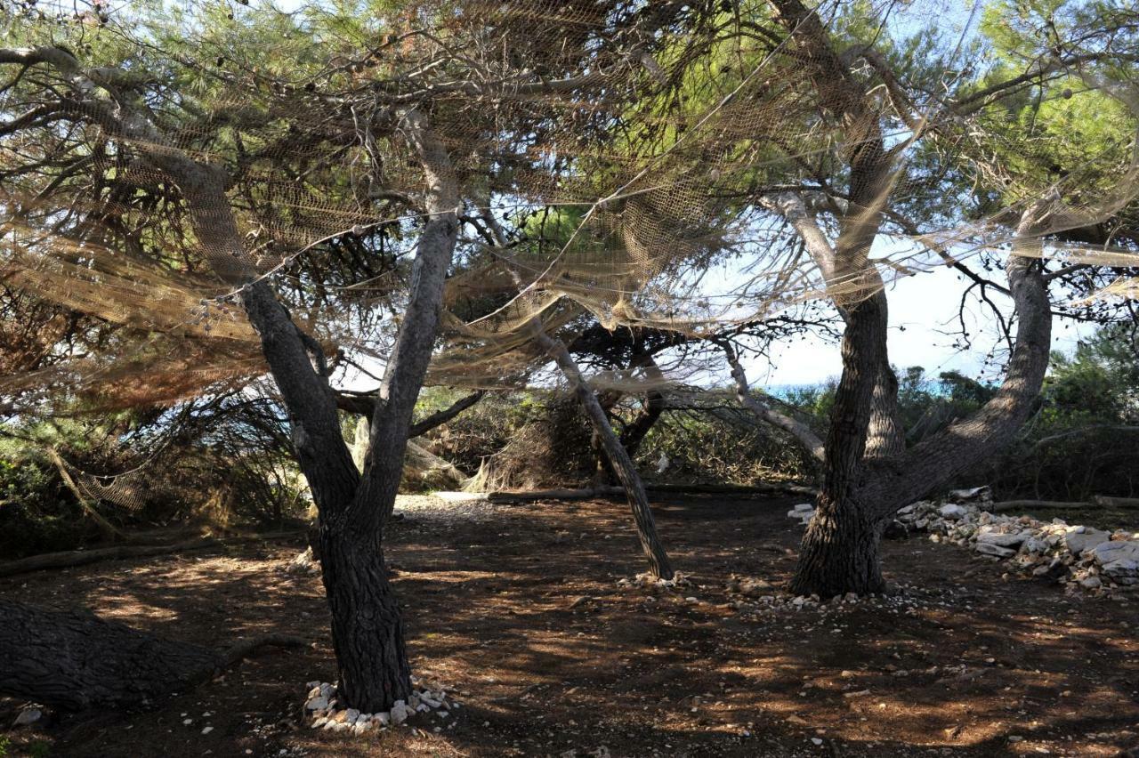 فيلا Grandpa Mate House Dragove المظهر الخارجي الصورة