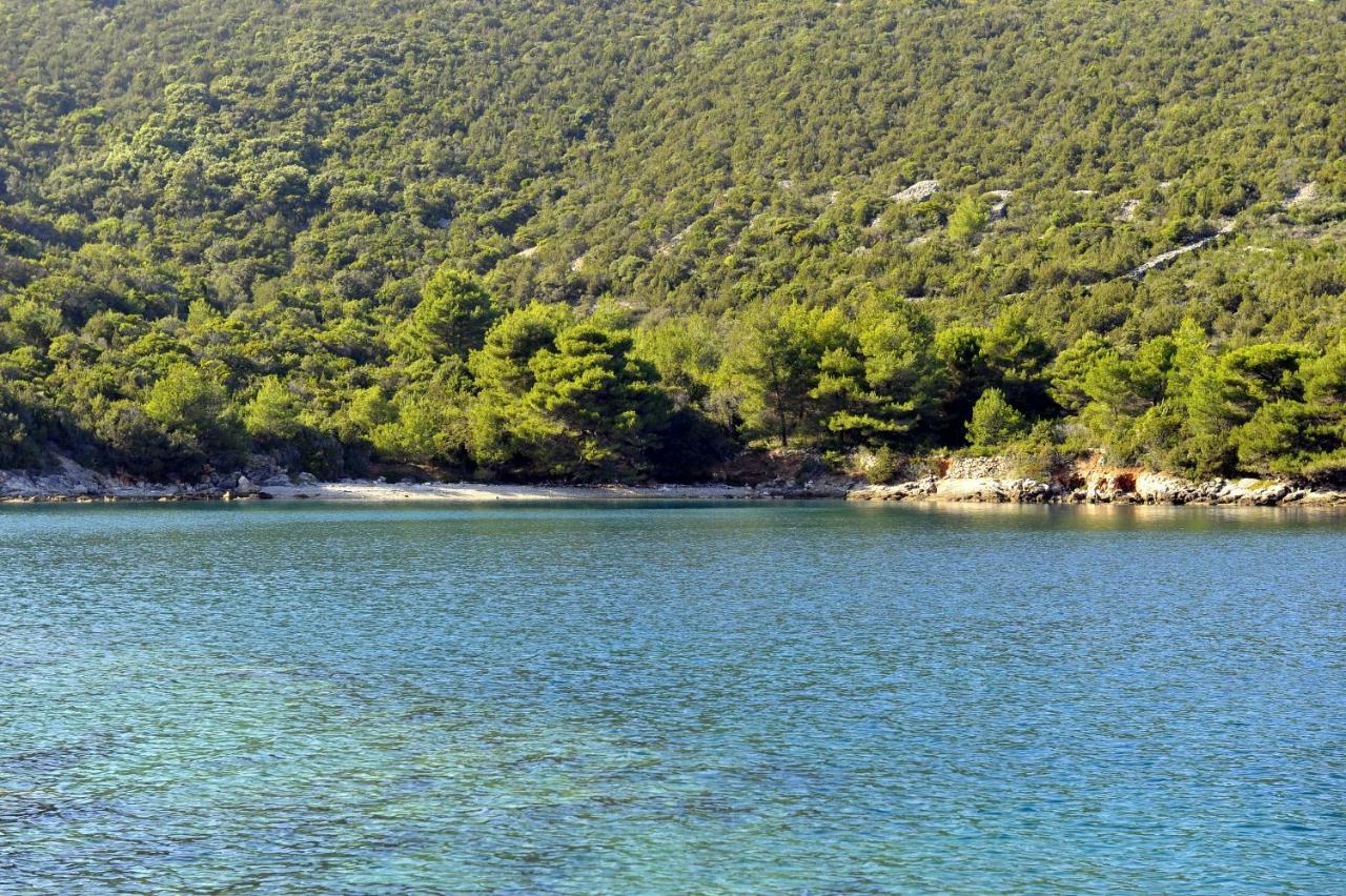 فيلا Grandpa Mate House Dragove المظهر الخارجي الصورة