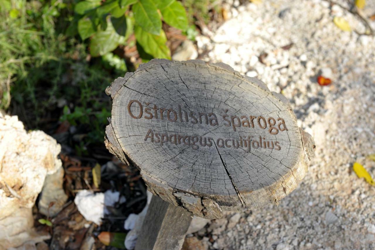 فيلا Grandpa Mate House Dragove المظهر الخارجي الصورة
