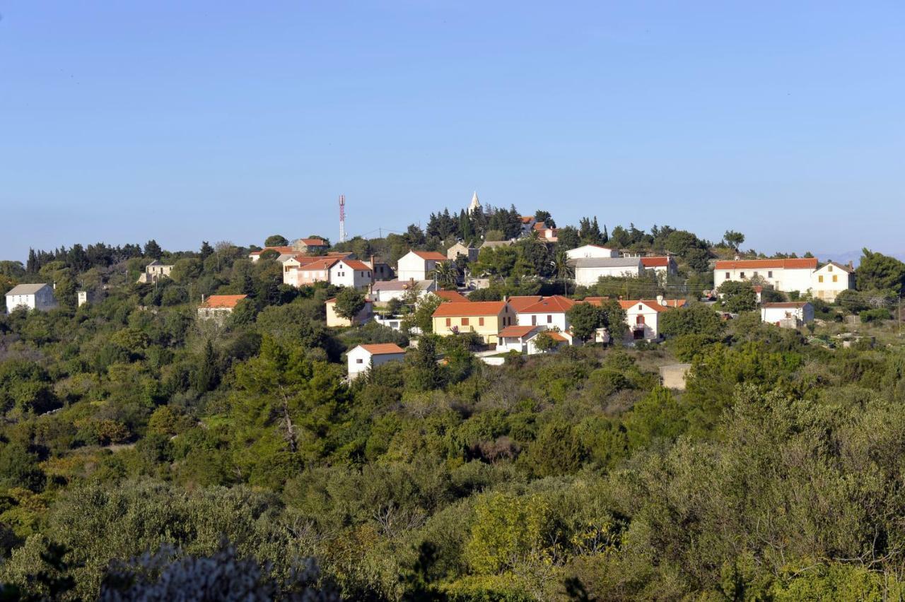 فيلا Grandpa Mate House Dragove المظهر الخارجي الصورة