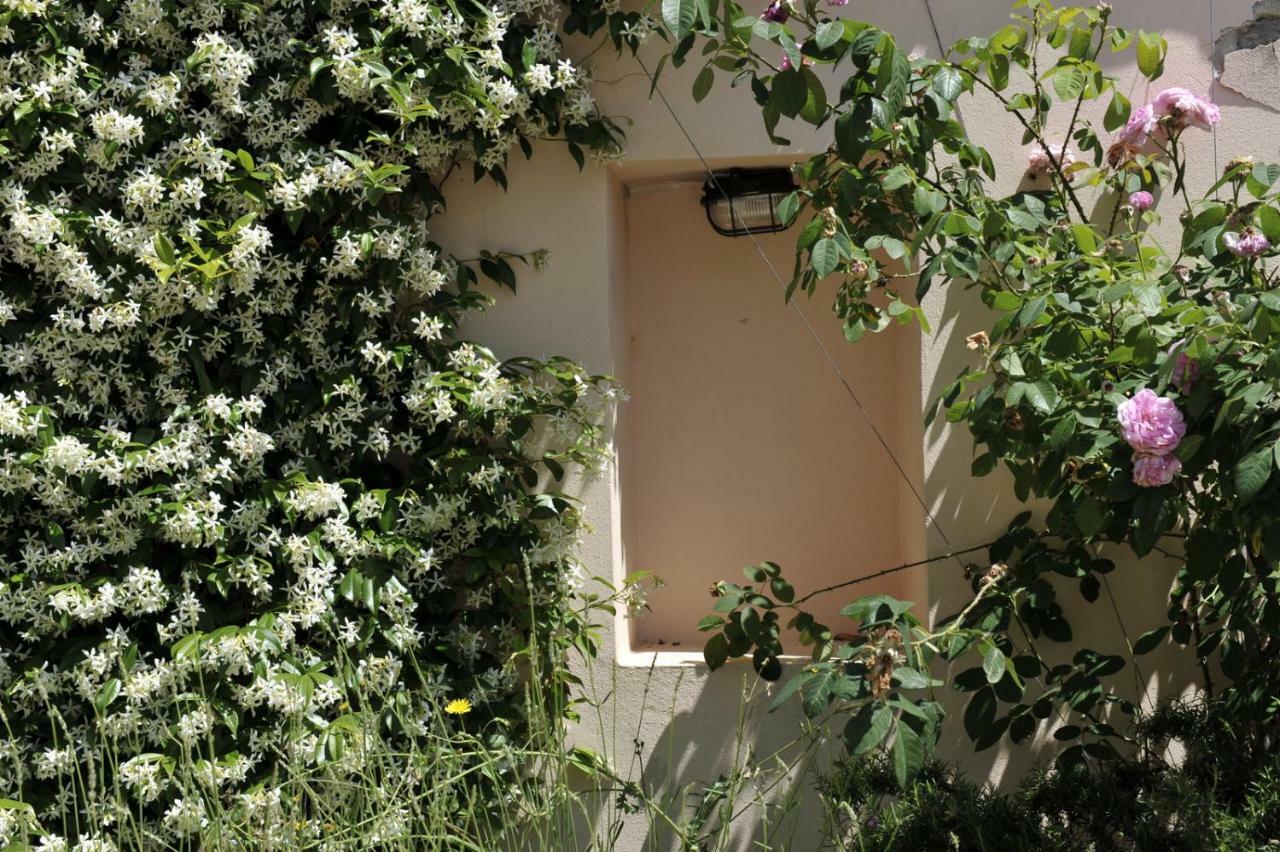 فيلا Grandpa Mate House Dragove المظهر الخارجي الصورة